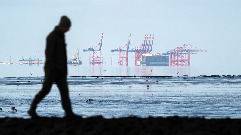 Ein Spaziergänger läuft über den Deich, im Hintergrund ist der Jade-Weser-Port zu sehen.