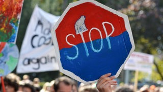 Ein Protestschild in Form eines Stopp-Verkehrsschildes mit Eisbär auf schmelzendem Eis