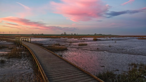 Sonnenaufgang im Naturschutzgebiet Langwarder Groden.