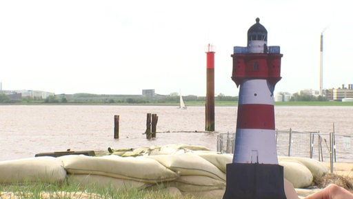 Ein Leuchtturm am Deich.