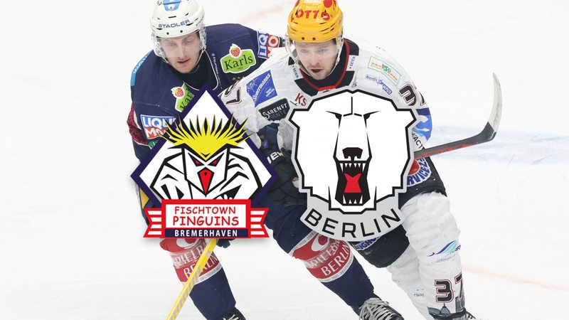 Fischtown Pinguins Bremerhaven gegen Eisbären Berlin