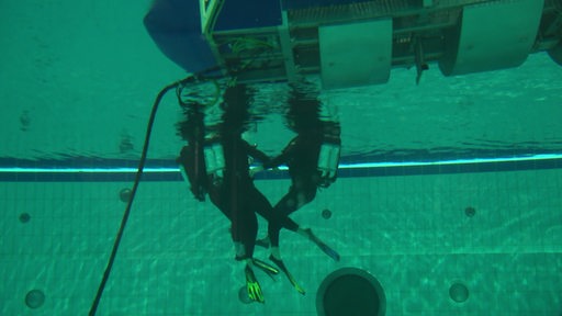 In einem Schwimmbecken sind drei Personen in Taucheranzügen zu sehen.