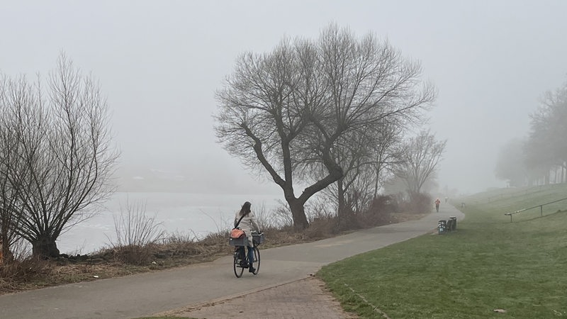 Eine Radfahrerin fährt an der nebeligen Weser entlang