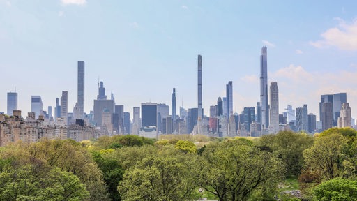 Ein Bild vom Central Park in New York.