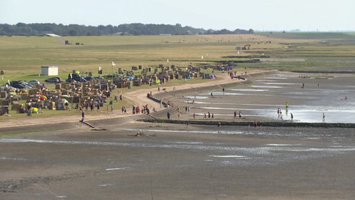 Ebbe an der Nordseeküste