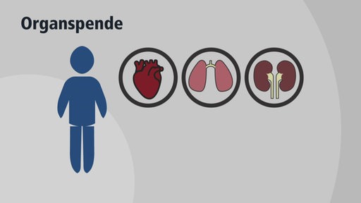 Orspande wird mit einer Grafik erklärt.