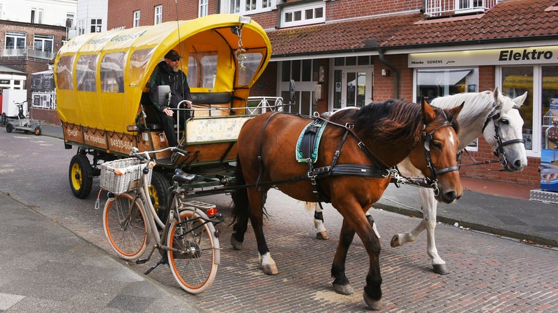 Eine Kutsche wird von einem braunen und einem weißen Pferd durch eine Straße auf der Insel Juist gezogen.