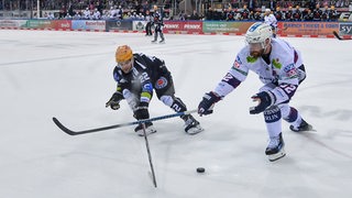 Vladimir Eminger von den Fischtown Pinguins und Marcel Noebels von den Eisbären Berlin kämpfen um den Puck