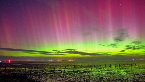 Polarlichter sind am Himmel über Schillig (Kreis Friesland) zu sehen.