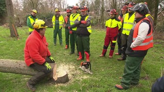 15 Kurs Teilnehmer machen einen Sägeschein. Der Förster sitzt auf einem abgesägten Baum und unterrichtet die Schüler.