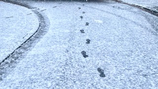 Fußspuren im Schnee auf der Straße