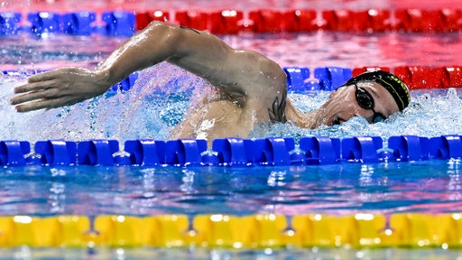 Der Schwimm-Olympiasieger Florian Wellbrock im Becken im 800-Meter-Lauf bei der Kurzbahn-WM.