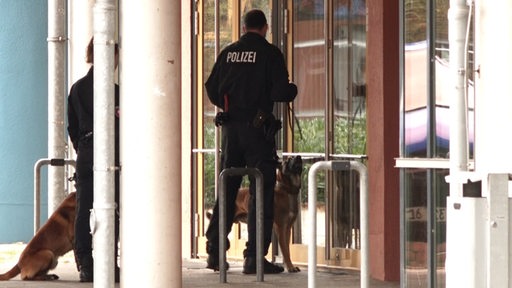 Zwei Spürhunde und zwei Polizeibeamte stehen vor einem Gebäude.