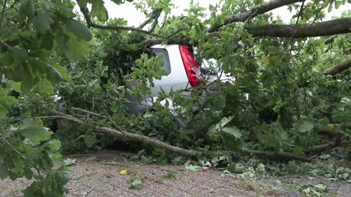 Ein graues Auto begraben unter einem großen, abgestürzten Baum-Ast.