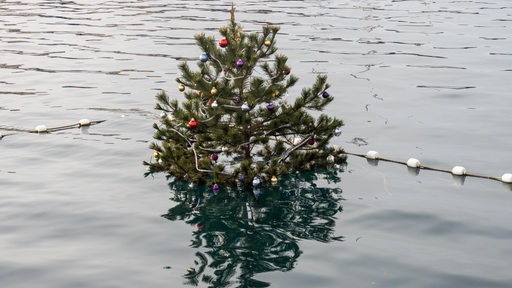 Ein Weihnachtsbaum schwimmt im Wasser.