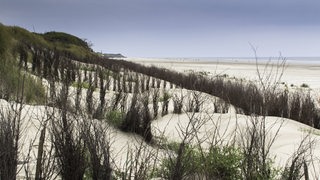 Eine Sanddüne mit grünen Büschen und Blick auf Meer und blauem Himmel