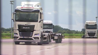 Mehrere LKW stehen auf einem Parkplatz.