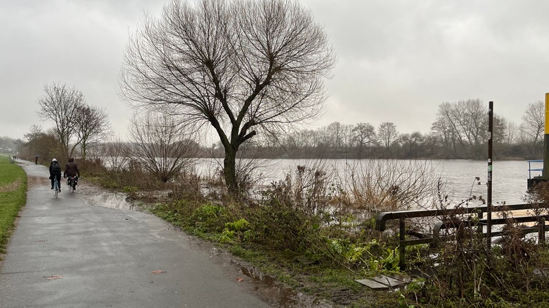 Blick auf Radweg auf Höhe der Sielwallfähre