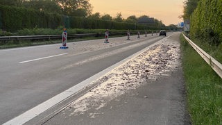 Fischabfälle liegen auf einer Autobahn.