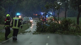 Feuerwehrkräfte bei einem Unfall auf einer Straße, ein herabgestürzter Ast liegt auf der Fahrbahn