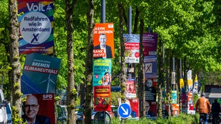 Wahlplakate verschiedener Parteien hängen in der Bremer Innenstadt.