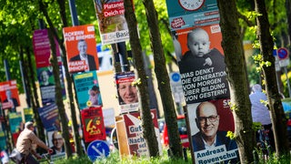 Wahlplakate verschiedener Parteien hängen in der Bremer Innenstadt.