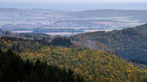 Blick über eine Herbstlandschaft im Harz.