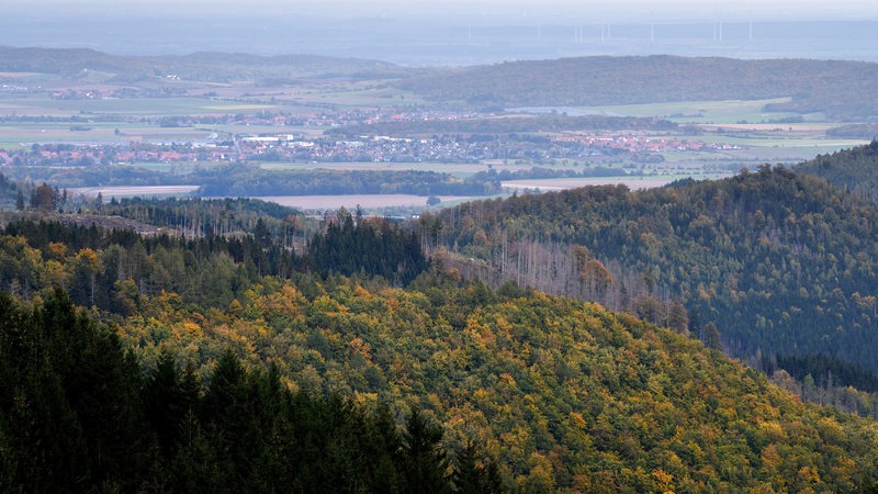 Blick über eine Herbstlandschaft im Harz.