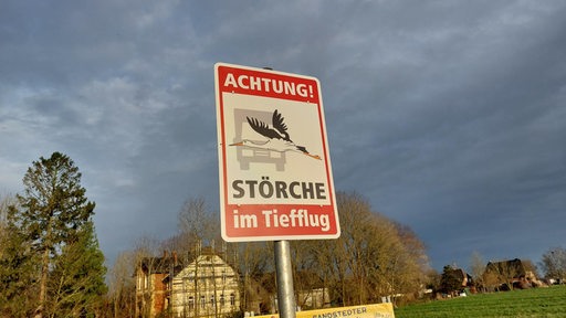 Auf einem Warnschild fliegt ein Storch vor einen Lkw.