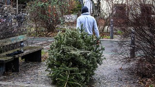 Ein Mann zieht einen Tannenbaum auf die Straße