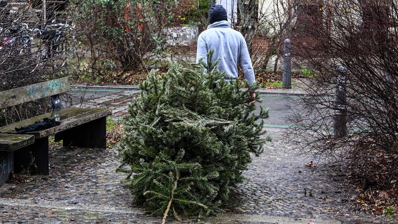 Ein Mann zieht einen Tannenbaum auf die Straße