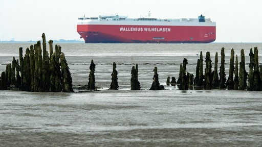 Ein Autotransportschiff passiert das Watt der Außenwesen.