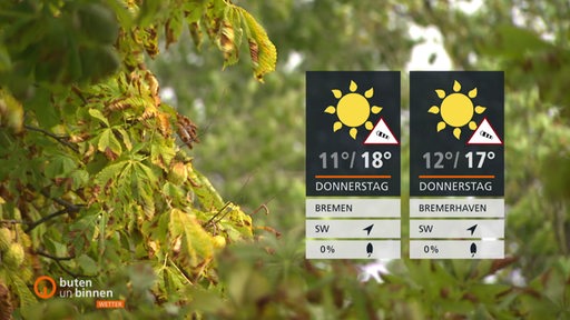 Eine Nahaufnahme von Blättern und Ästen, rechts die Wettertafeln. 