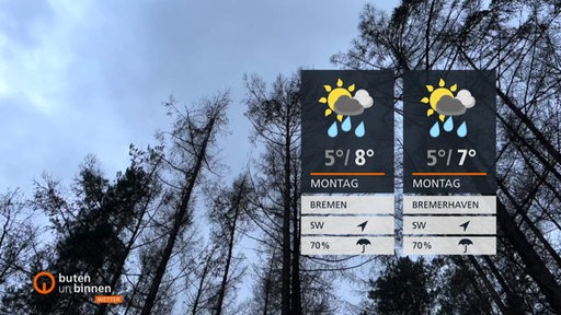 Die Wettertafeln vor der Silhouette eines Waldes