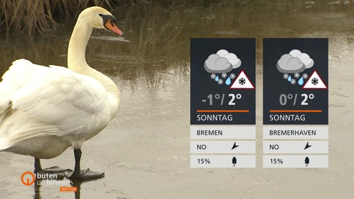 Die Wettertafeln vor einem Schwan am Wasser.