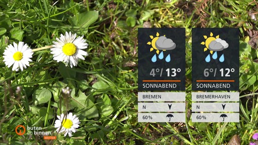 Rechts sind die Wetterkacheln und im Hintergrund sind Gras und Gänseblümchen zu sehen.