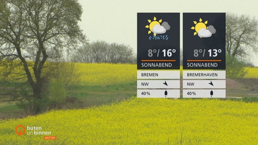 Rechts sind die Wetterkacheln und im Hintergrund eine Landschaft mit Rapsfeldern zu sehen.