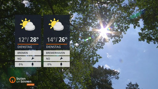 Die Wetterkacheln, dahinter scheint zwischen den Baumkronen die Sonne