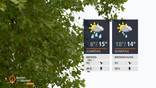 Rechts sind die Wetterkacheln und links im Hintergrund sind grüne Blätter an Ästen zu sehen.