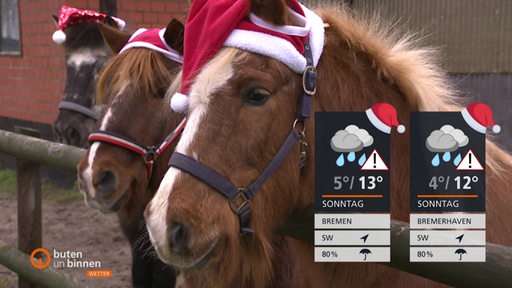 Die Wettertafeln vor Pferden mit Weihnachtsmützen auf.