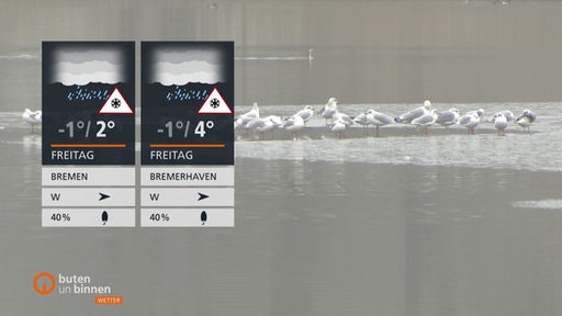 Zu sehen sind Möven auf einem See und links im Bild die Wettertafeln.