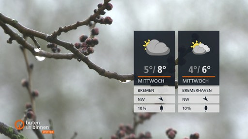 Ein kahler Baum mit Knospen und grauem Himmel. Rechts im Bild die Wettertafel.