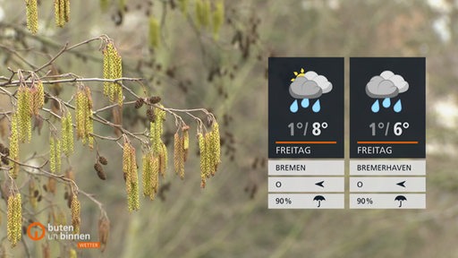 Ein kahler Ast mit grünen Blüten in den Bremer Wallanlagen. Rechts im Bild die Wettertafel.