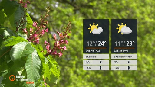 Die Wettertafel mit grünen Bäumen in Hintergrund. Links im Bild eine bühende Blume.