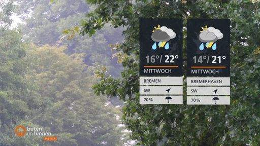 Einige Bäumkronen während eines Regenschauers, im Vordergrund die Wettertafeln.