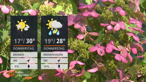 Wetterkacheln, dahinter rosa Blumen