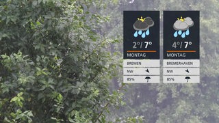 Bäume im Regen, davor die Wetterkacheln