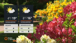 Die Wetterkacheln vor einem Strauch bunter Blumen in einem Park.