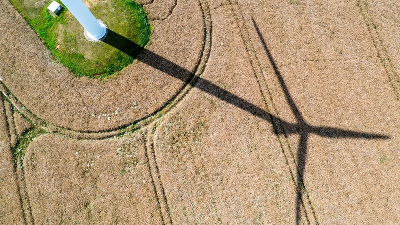 Der Schatten einer Windkraftanlage ist auf einem Weizenfeld in einem Windpark zu sehen.