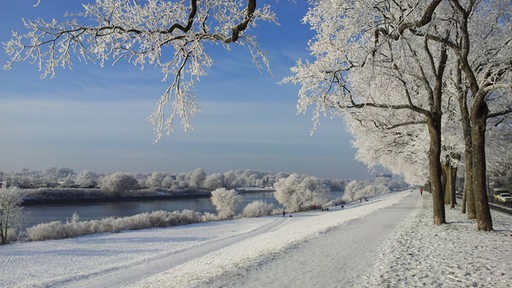 Verschneite Impression aus Bremen am Osterdeich